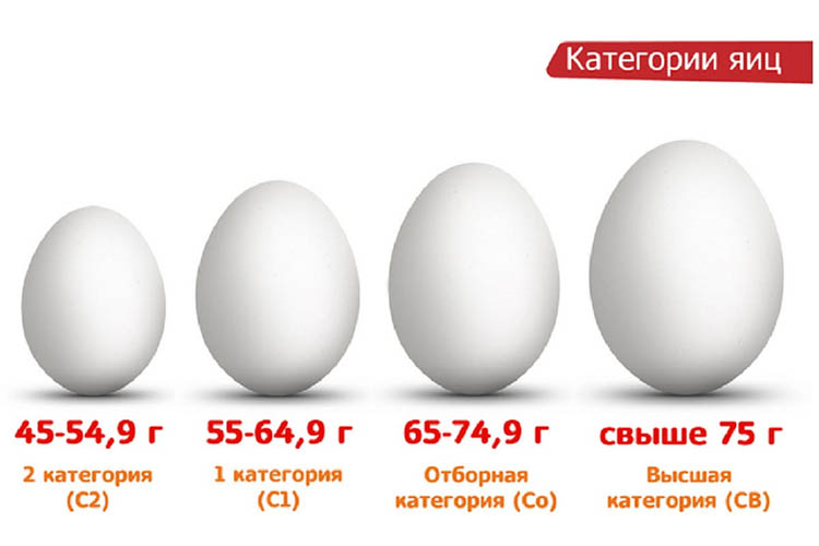 вес одного яйца вареного